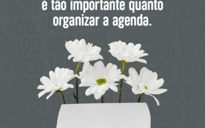 A importância de organizar sua mente!